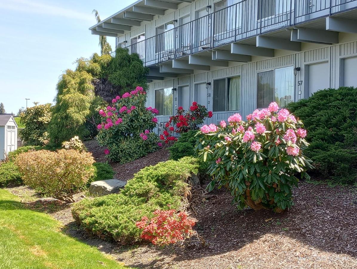 Cocusa Motel バーリントン エクステリア 写真