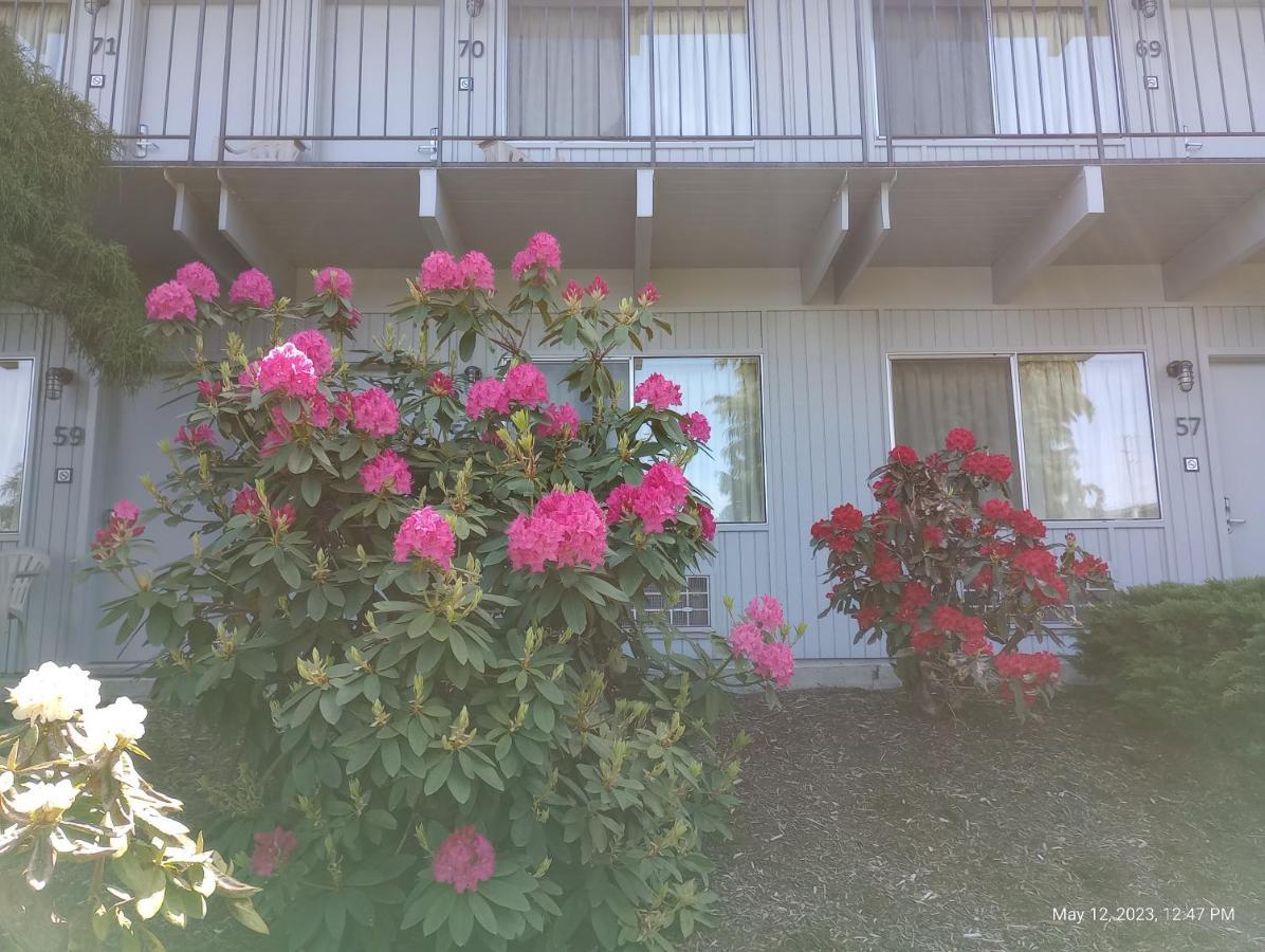 Cocusa Motel バーリントン エクステリア 写真